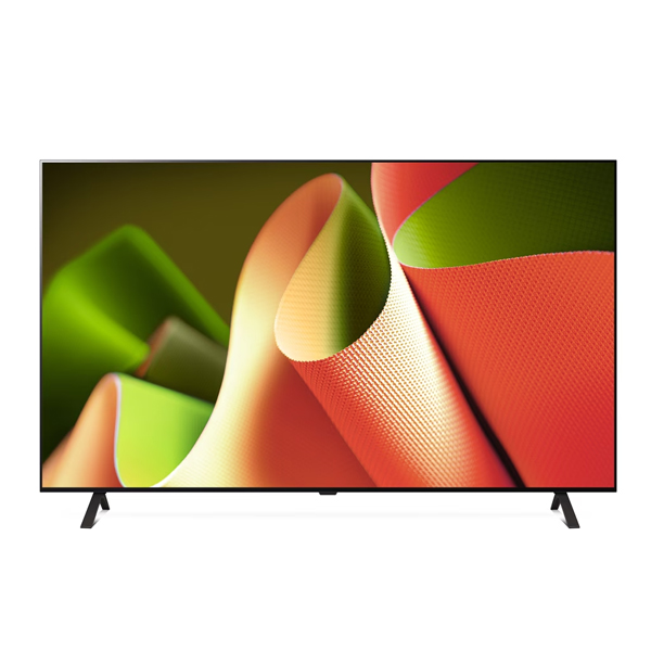 LG OLED TV 65인치